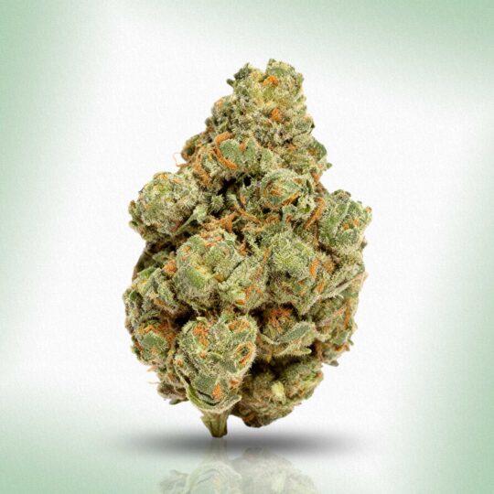 Banana Punch · Hybrid Hemp Flower