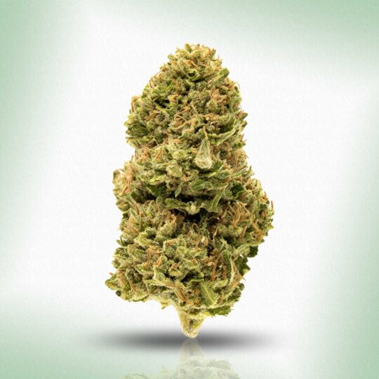 Cherry Cosmos · Hybrid Hemp Flower