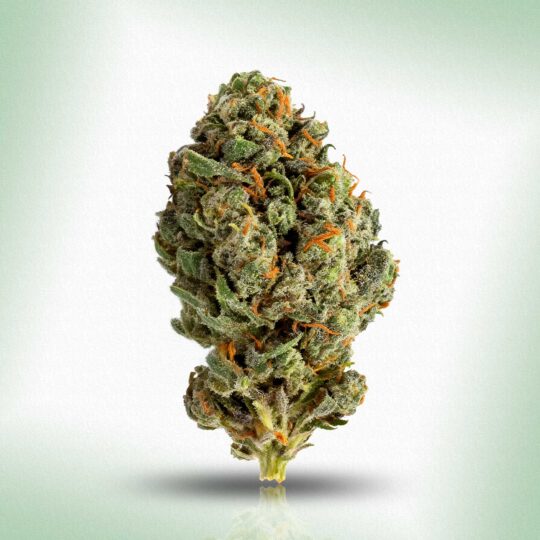 Lemon Cherry Gelato · Indica Hemp Flower