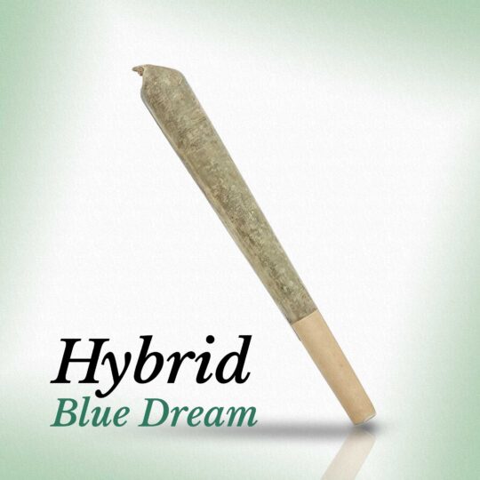 Blue Dream · 2 Gram Pre-Roll
