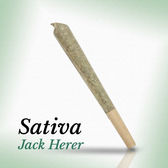 Jack Herer · 2 Gram Pre-Roll