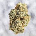 blog-s7